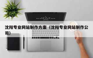 东台沈阳专业网站制作方案（沈阳专业网站制作公司）